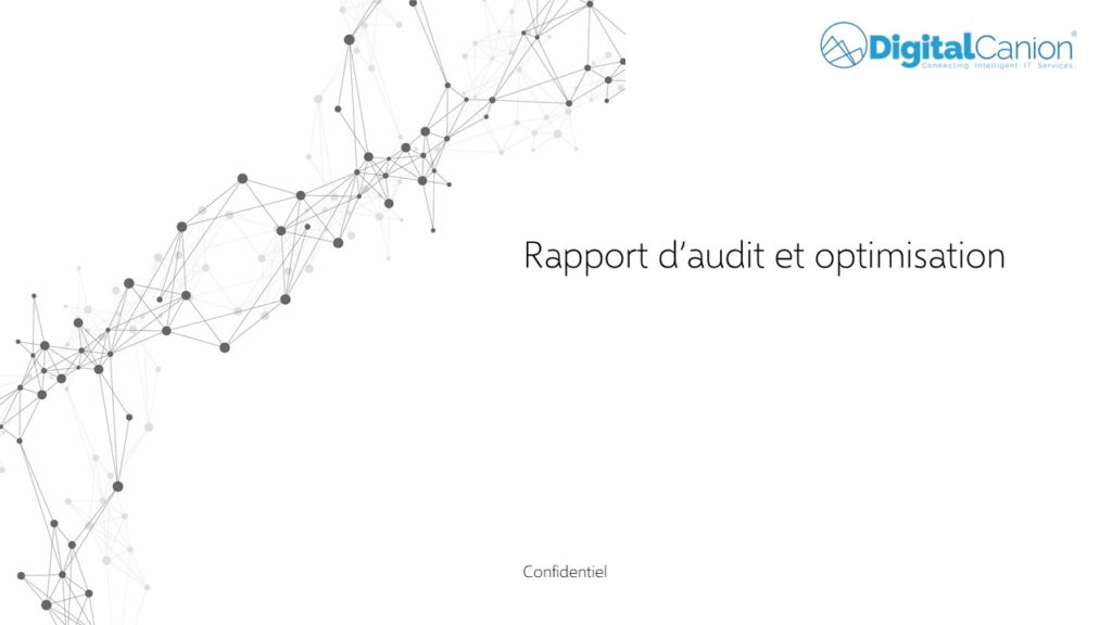 Audit informatique DigitalCanion
